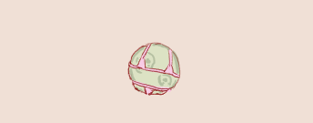1788512015372.png