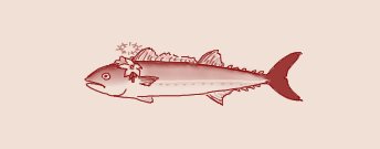 1785653000038.png