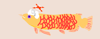 1785978715231.png