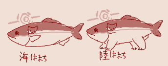 1787320610102.png