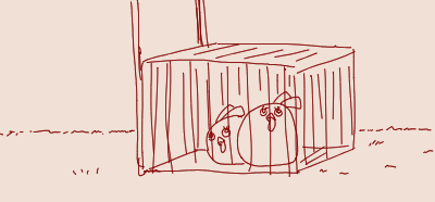 1715557861993.png
