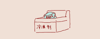 1709902205909.png
