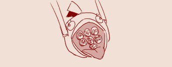 1787035093195.png